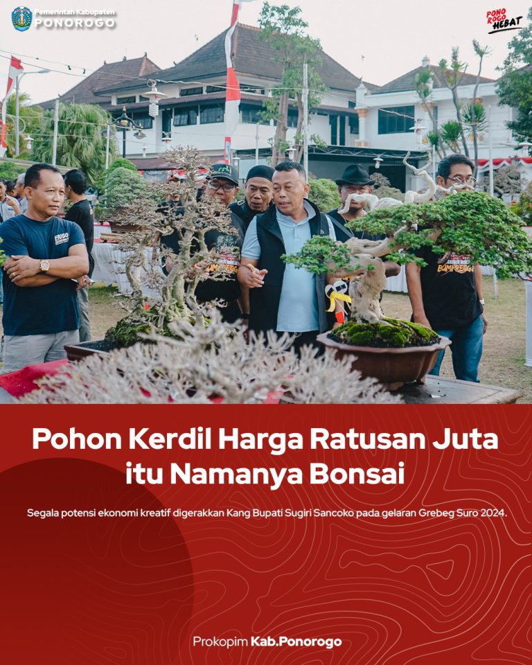 Pohon Kerdil Harga Ratusan Juta itu Namanya Bonsai