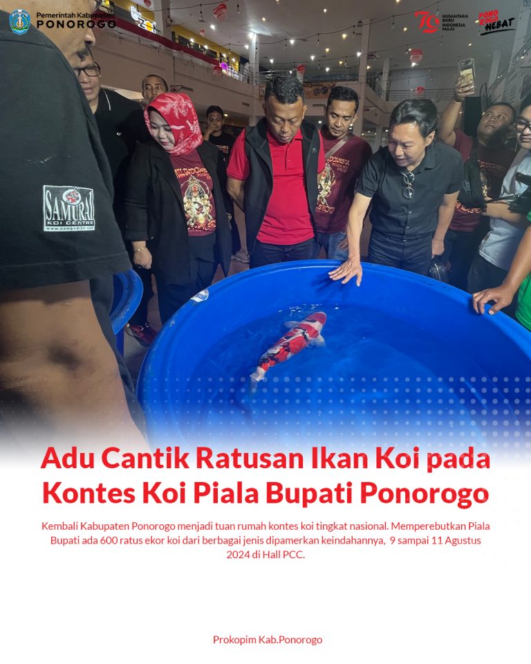 Adu Cantik Ratusan Ikan Koi pada Kontes Koi Piala Bupati Ponorogo