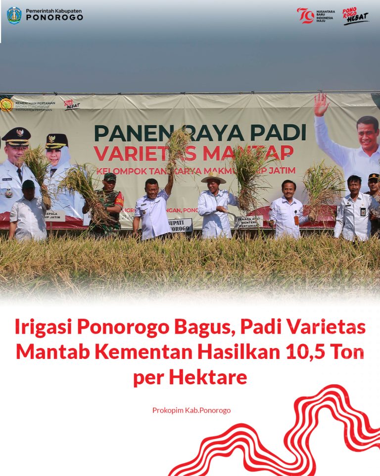 Irigasi Ponorogo Bagus, Padi Varietas Mantab Kementan Hasilkan 10,5 Ton per Hektare