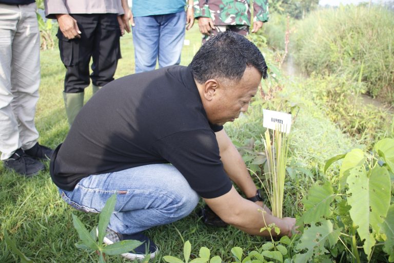 Jaga Lingkungan, Kang Bupati Sugiri dan Pelajar NU Tanam Rumput Vetiver di Bantaran Sungai