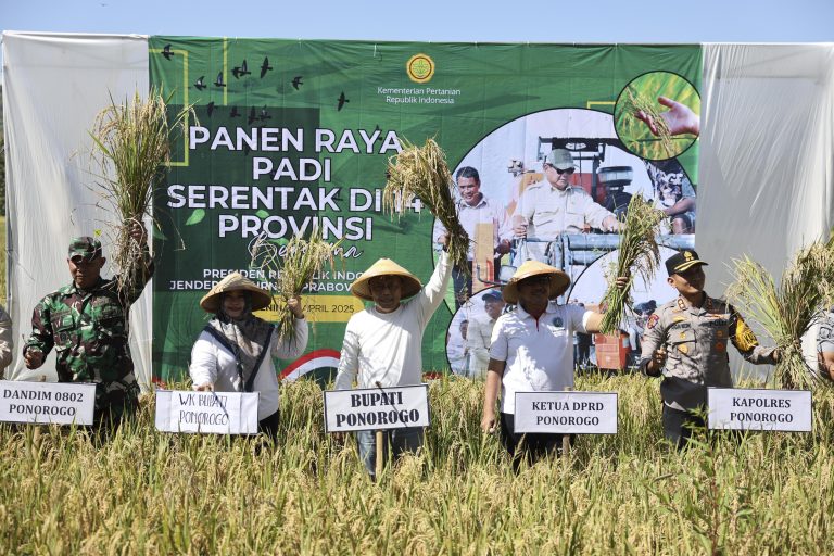 Panen Raya di Ponorogo: Hasil Bulan April Ditargetkan Cukupi Konsumsi Setahun