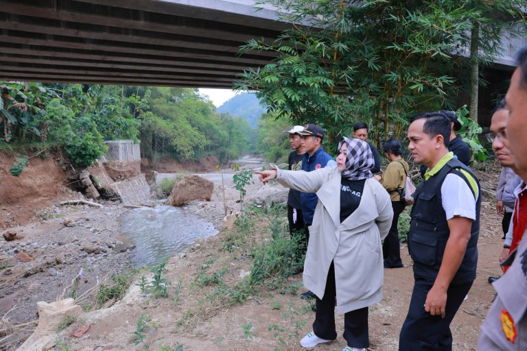 Jembatan Jalur Ponorogo-Pacitan Terancam, Penanganan Darurat Dipercepat