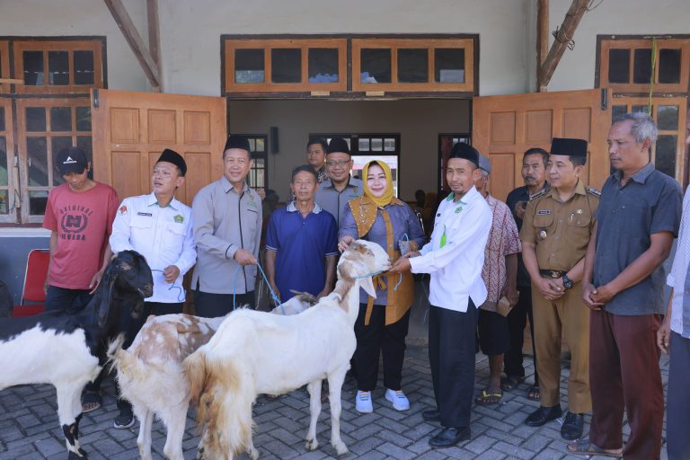 ZIS Produktif Baznas, Kambing Sepasang untuk Pemberdayaan Mustahik