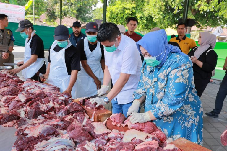 Kurban Presiden di Ponorogo: Sapi Premium, Penyembelihan Ketat, Dibagikan dengan Daun Pisang
